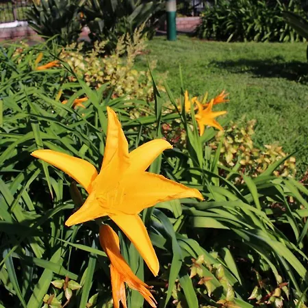 Indigo Madeira - Marina Club Apartment Funchal (Madeira)